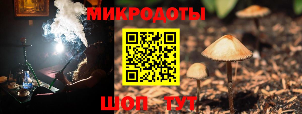 Псилоцибиновые грибы GOLDEN TEACHER  продажа наркотиков  Ангарск  Вход с VPN 